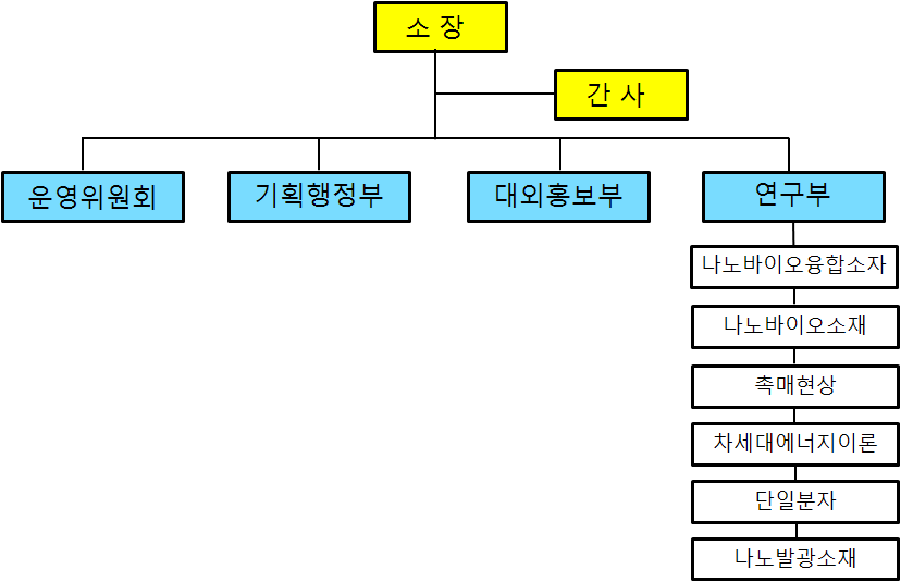 조직도